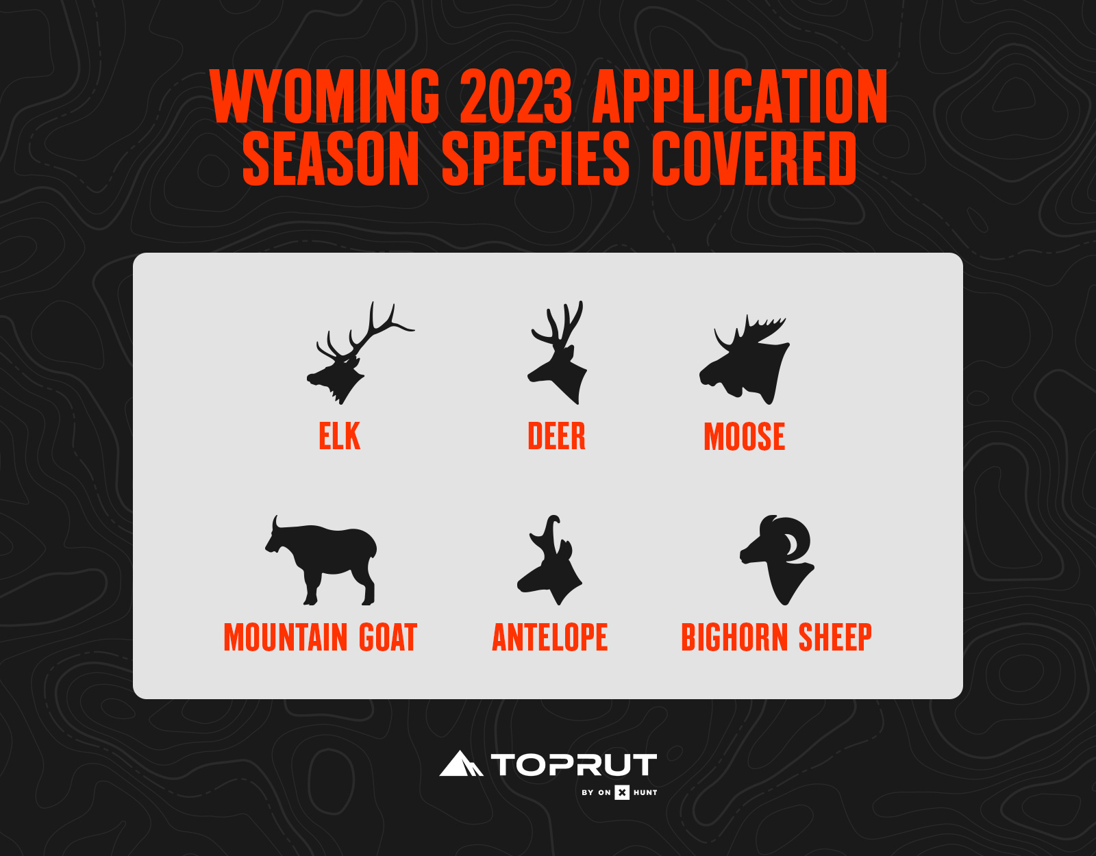 wyoming hunting application species