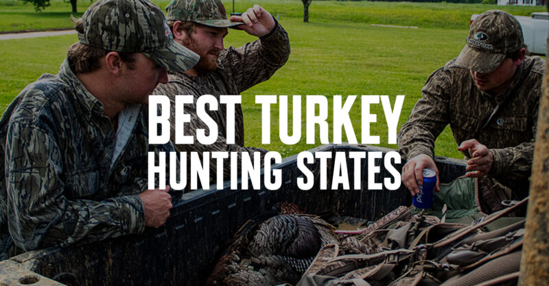 Best Turkey Hunting States