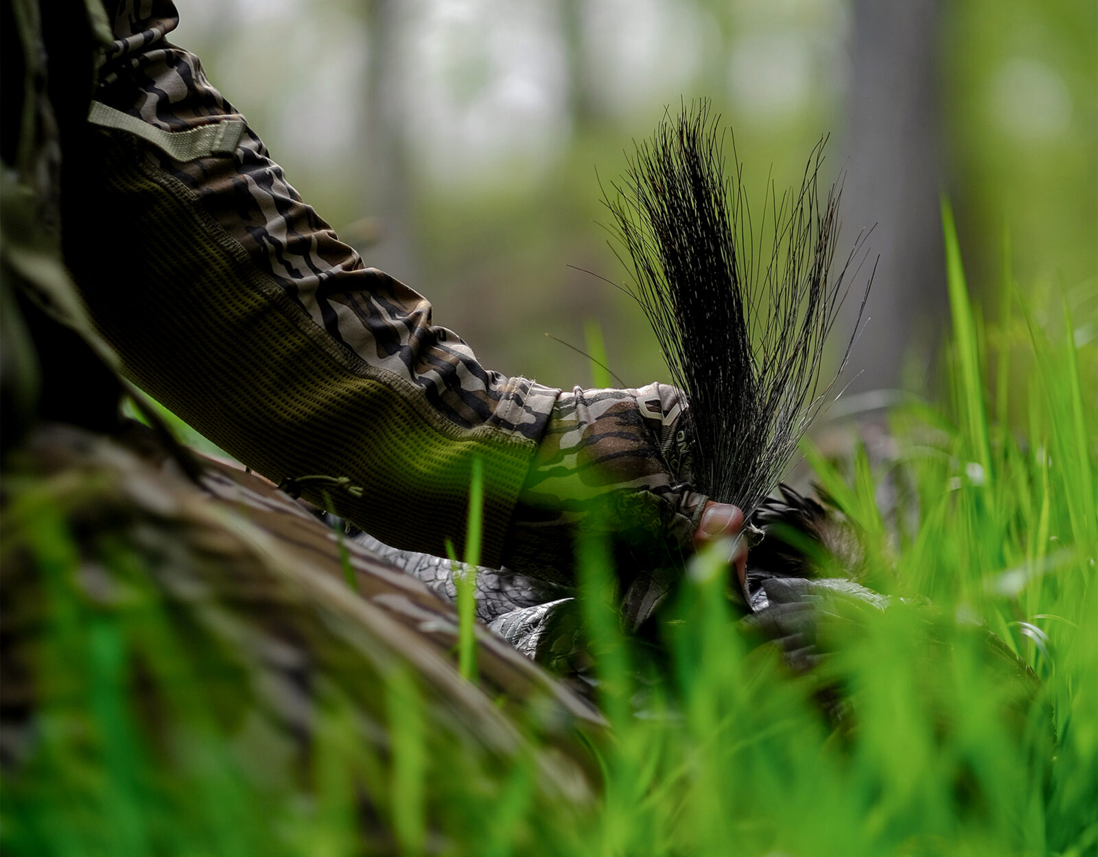 hunter with an eastern wild turkey 