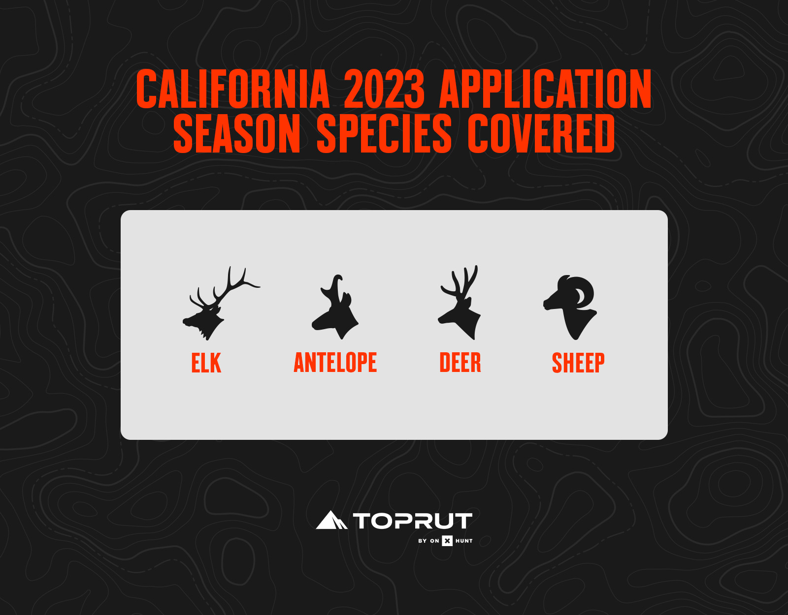 California hunting application season species 