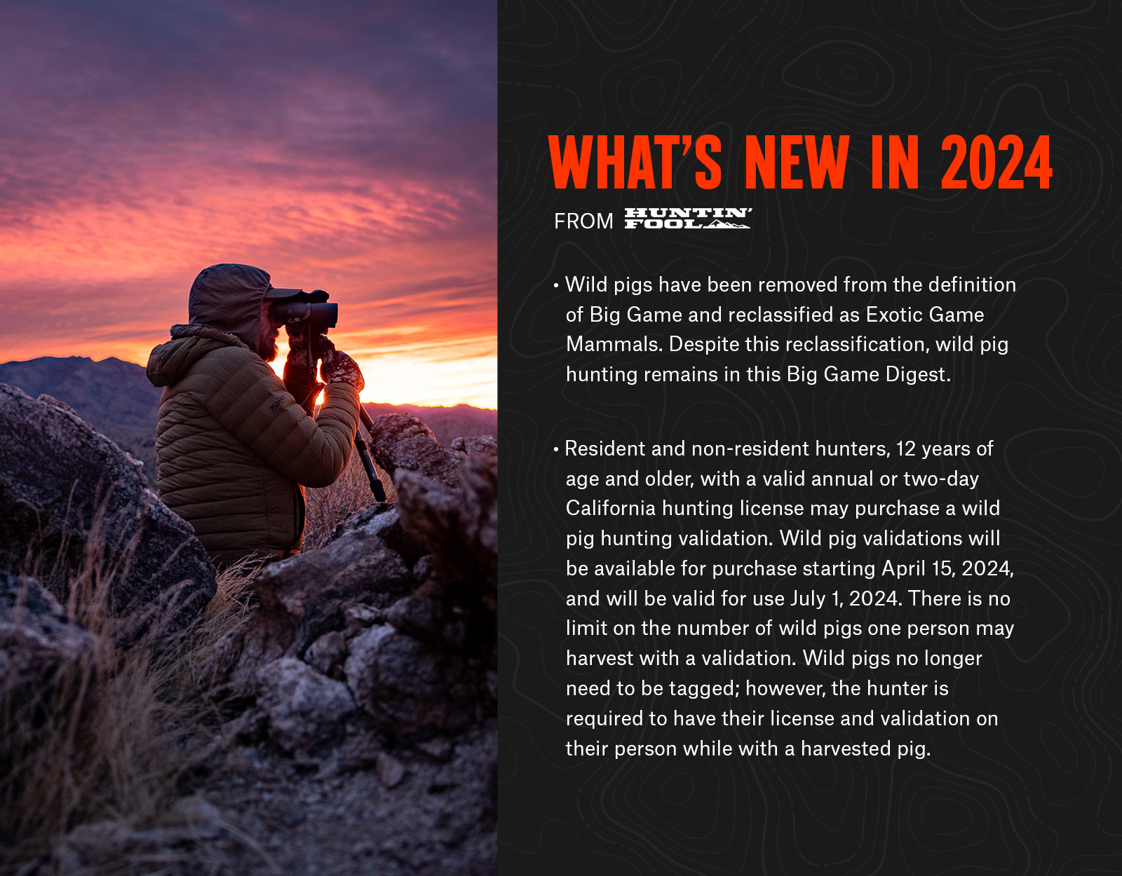 Showing what is new in California hunting
