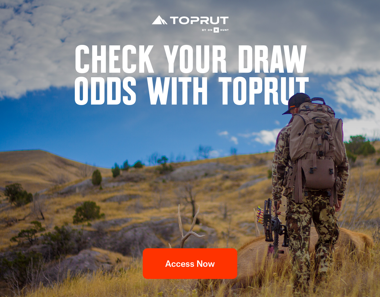 TopRut draw odds 
