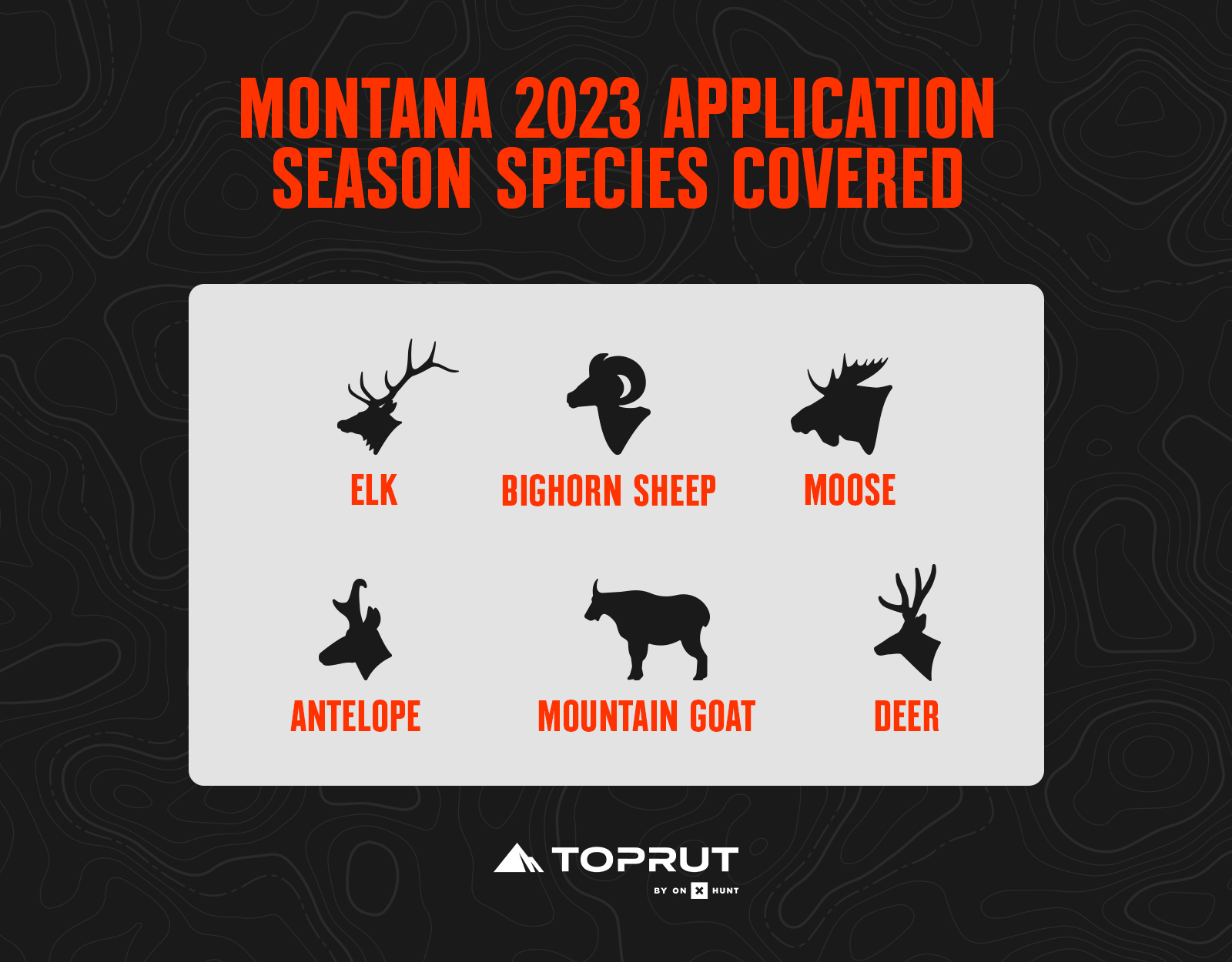 Montana application season species 