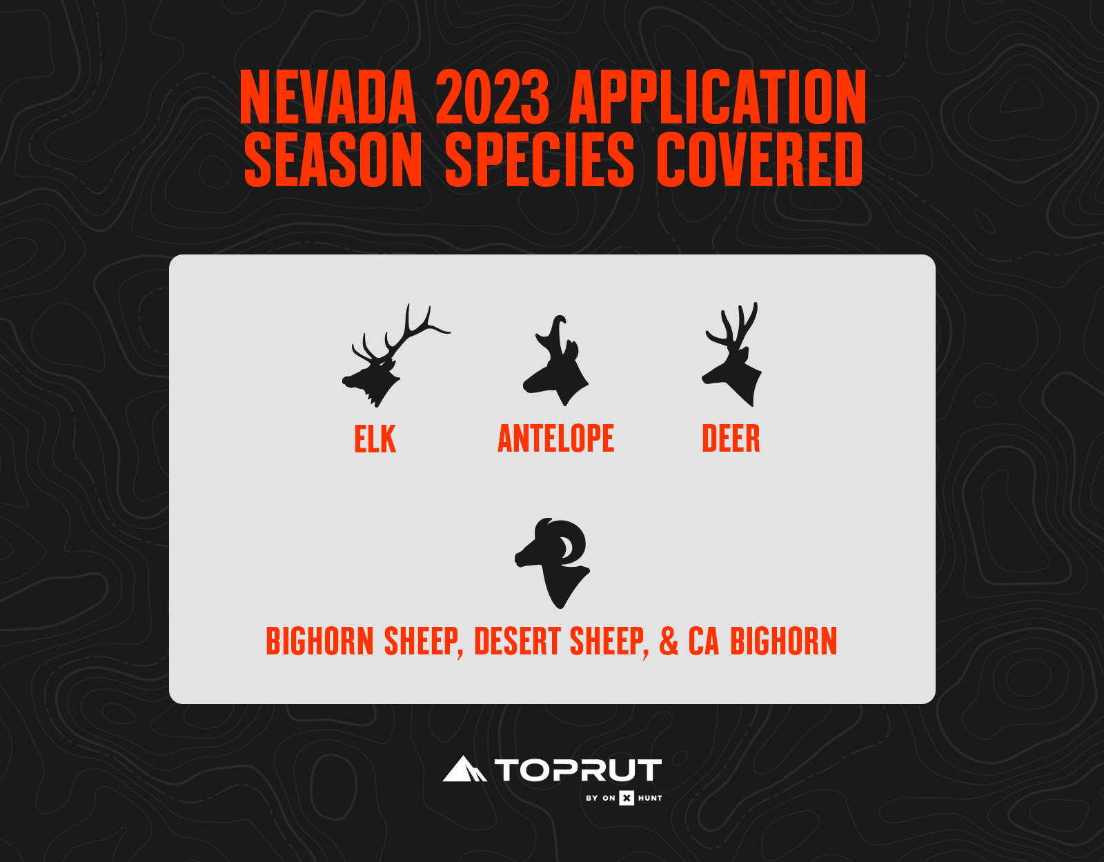 Nevada hunting application season species 