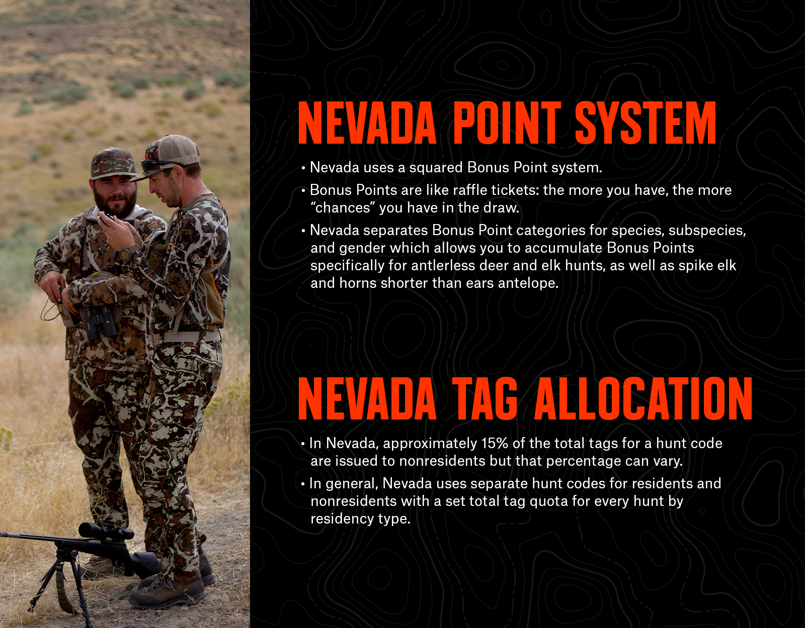 Nevada hunting tag point system.