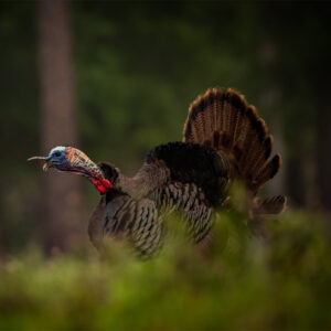 Chapter 1: Terminology