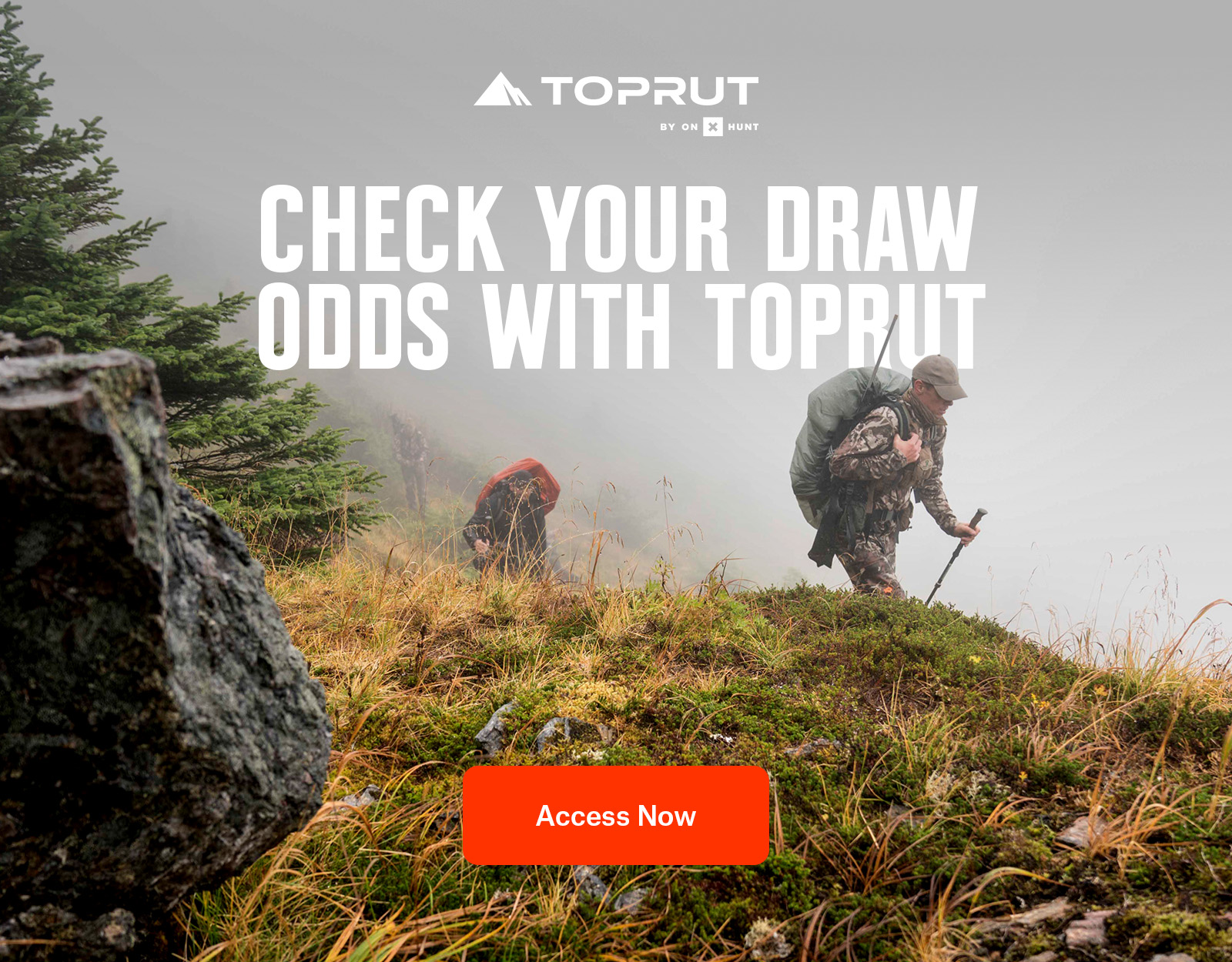TopRut draw odds 