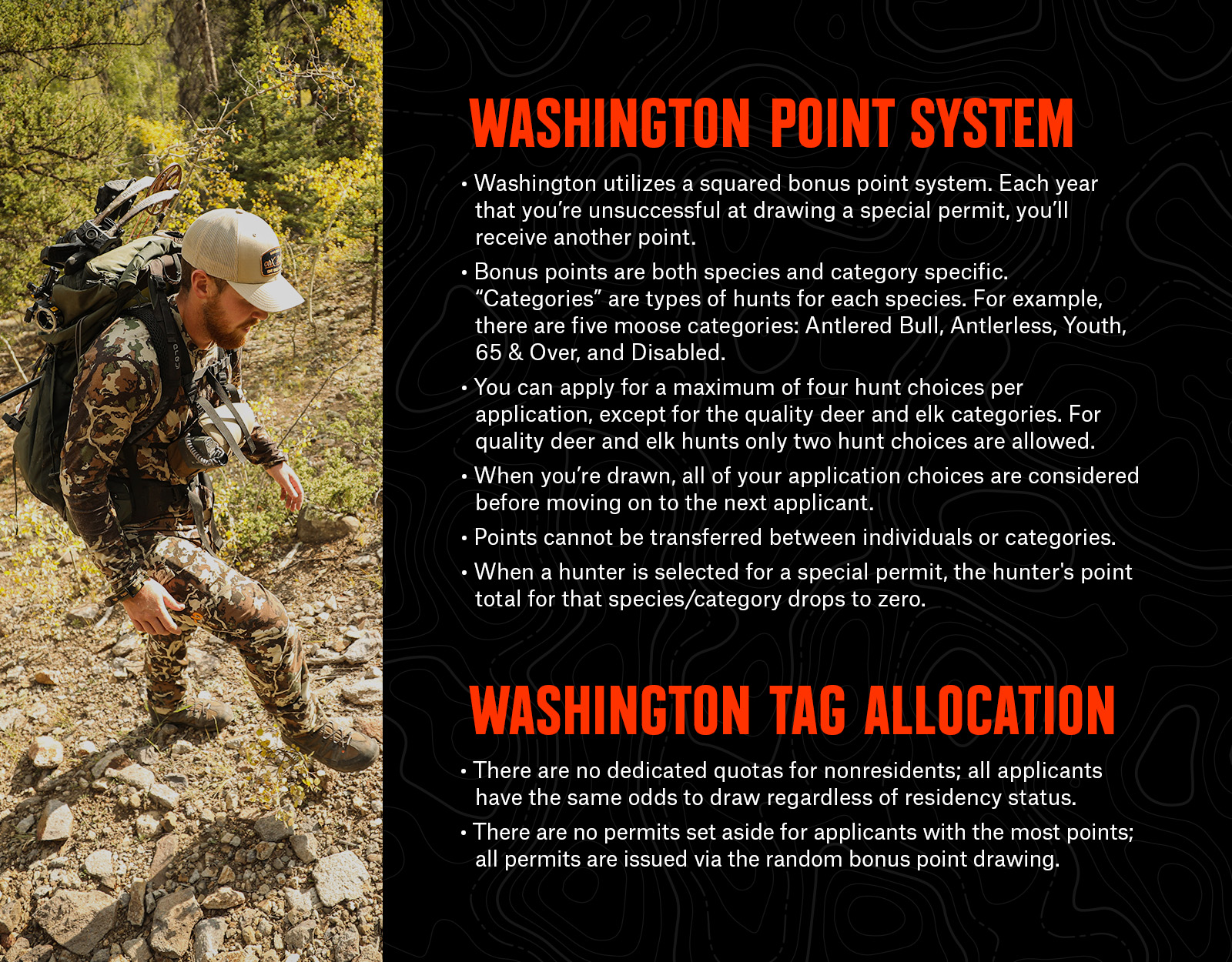 Washington hunting point system and tag allocation