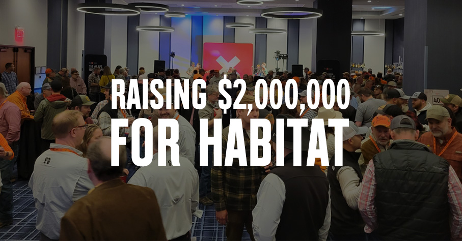 40X Blog Featured Image