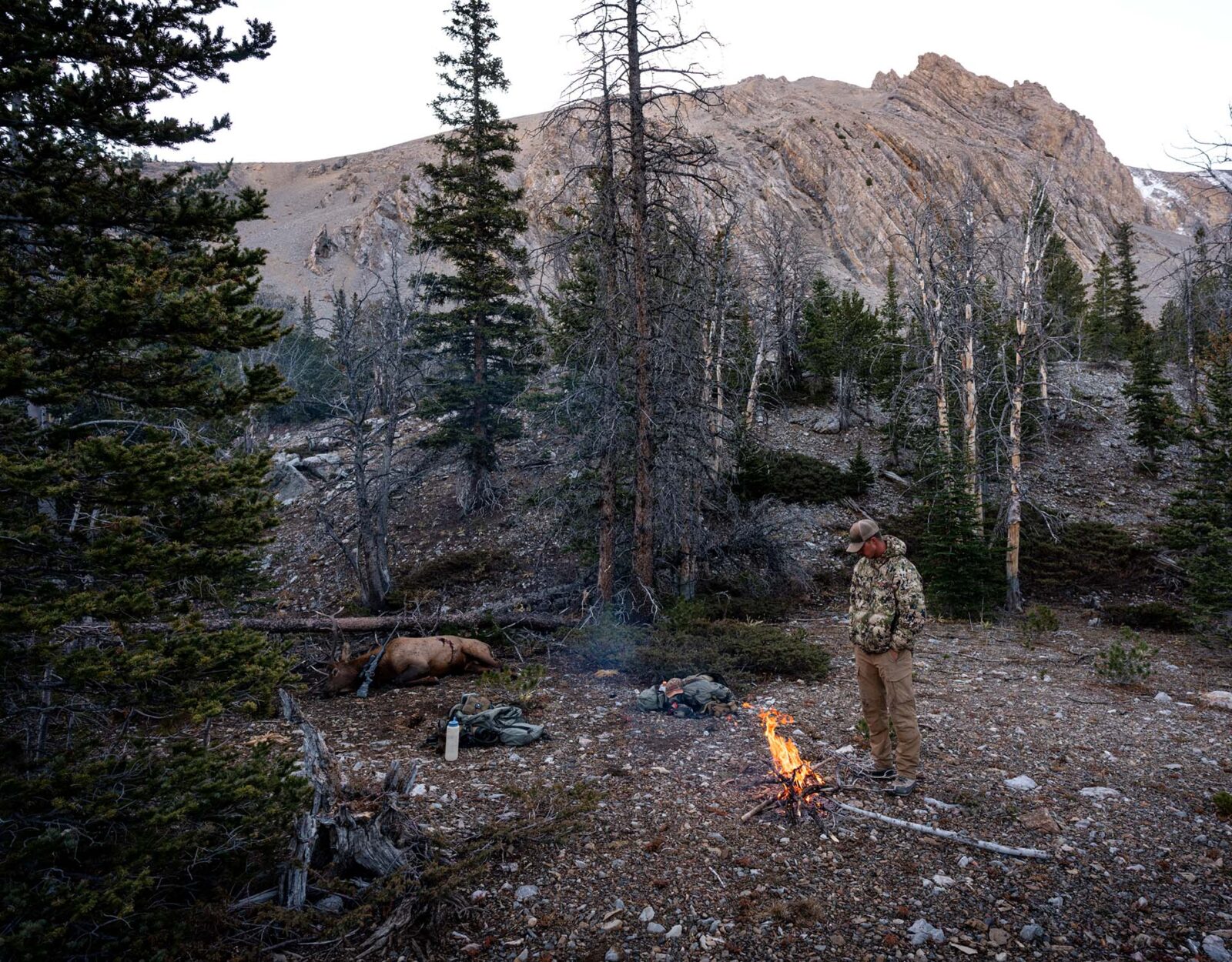 man with campfire in the mountains with a bull elk he harvested while hunting 