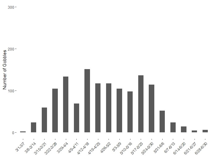 a graph of number of gobbles on the y axis and date ranges on the x. 