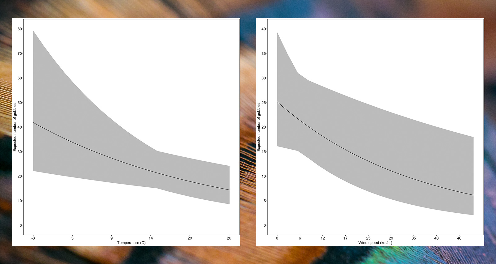 2 graphs with expected number of daily gobbles and the first data set is temp and the second is wind speed. The data seems to be similar with a downward trend.