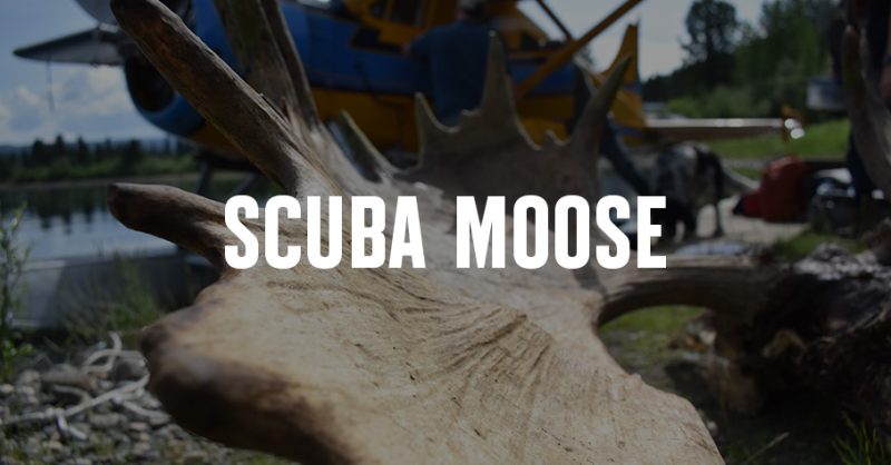 moose paddle