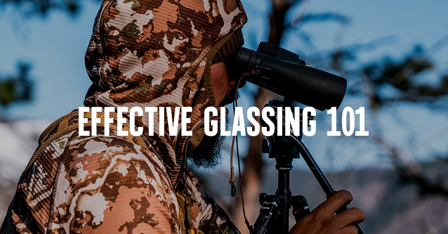 man glassing while hunting in camo