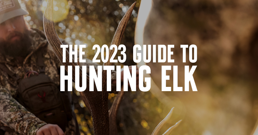 The 2023 guide to elk hunting