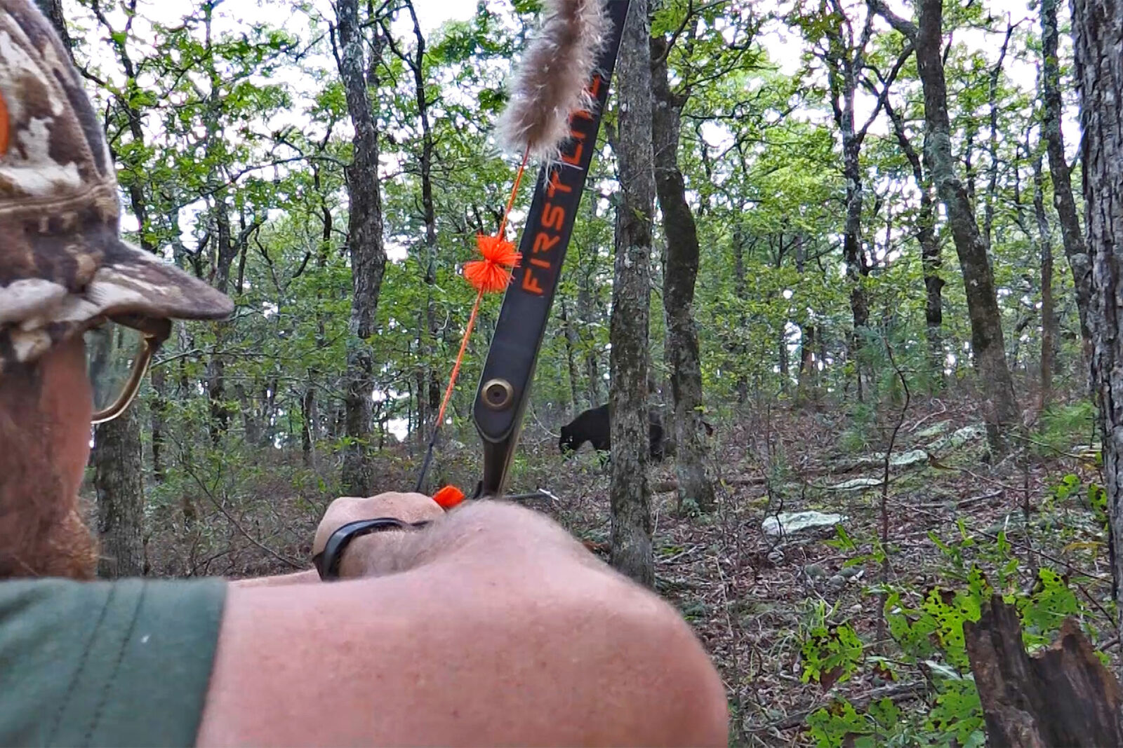 Using a Recurve bow to aim and hunt bear