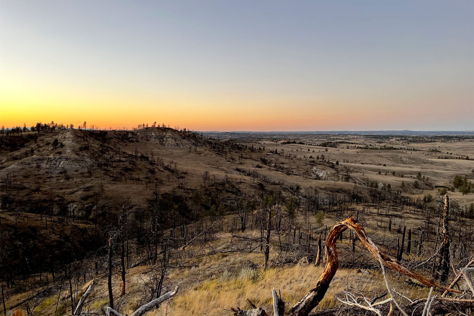 Montana scenery during fall hunt.