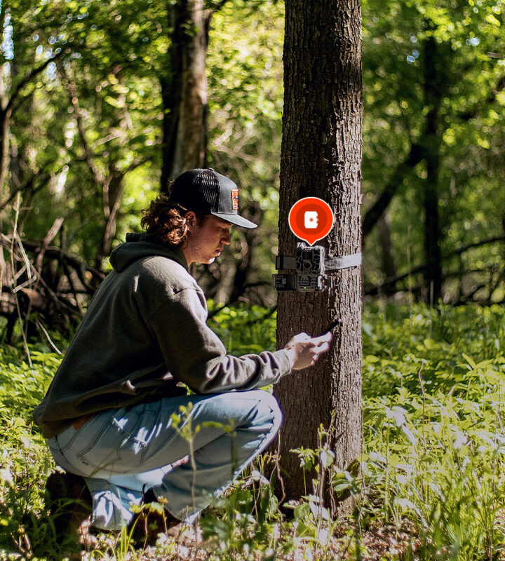 Trail Camera Services Manage Your Trail Camera Images with onX Hunt