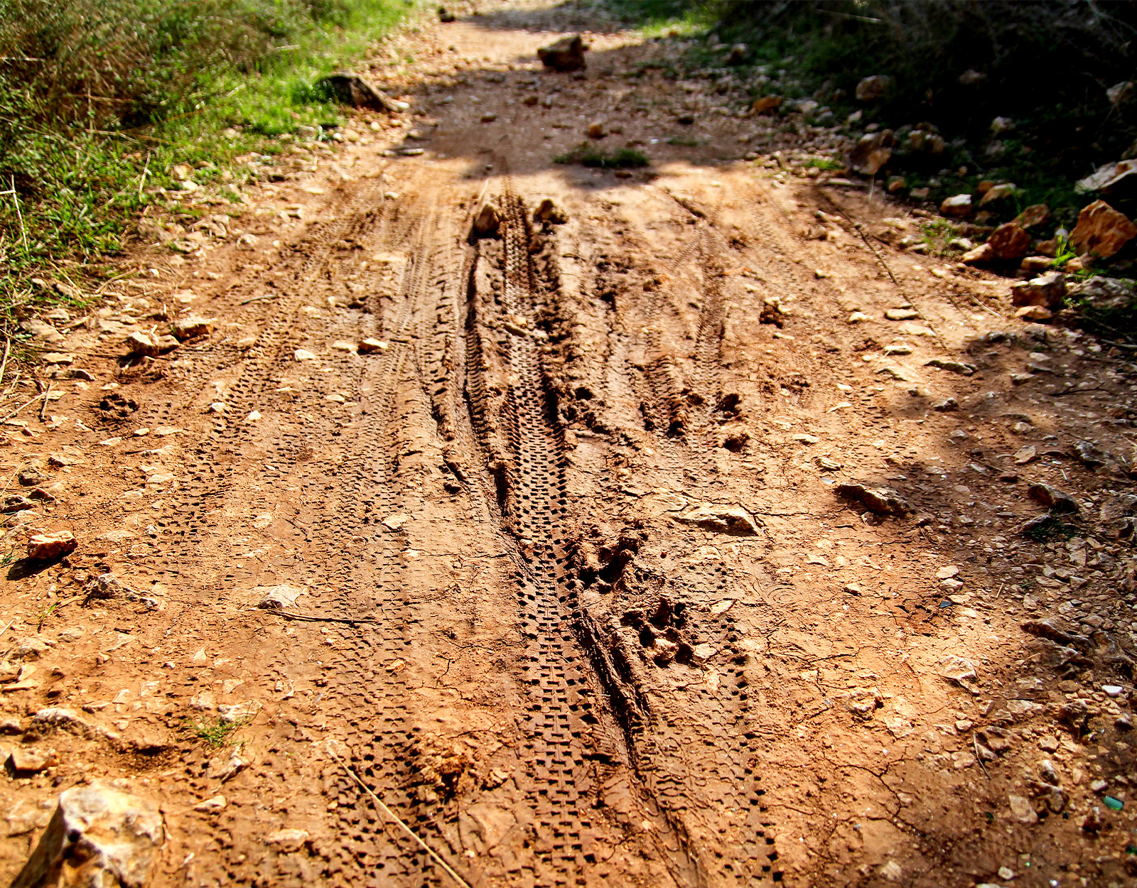 a dirt trail with e-bike tracks 