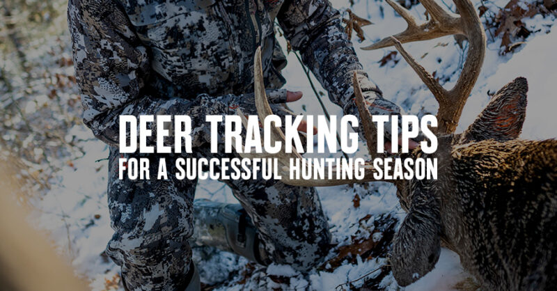 Deer tracking tips for a successful hunt