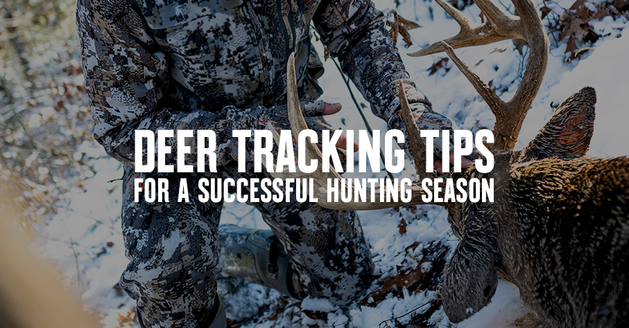Deer tracking tips for a successful hunt