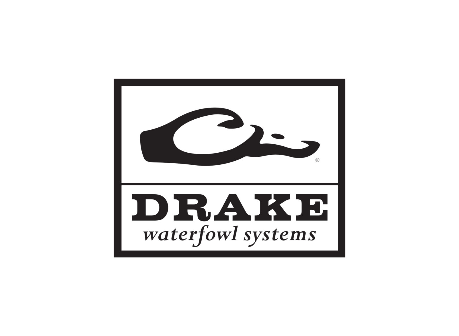 drake waterfowl