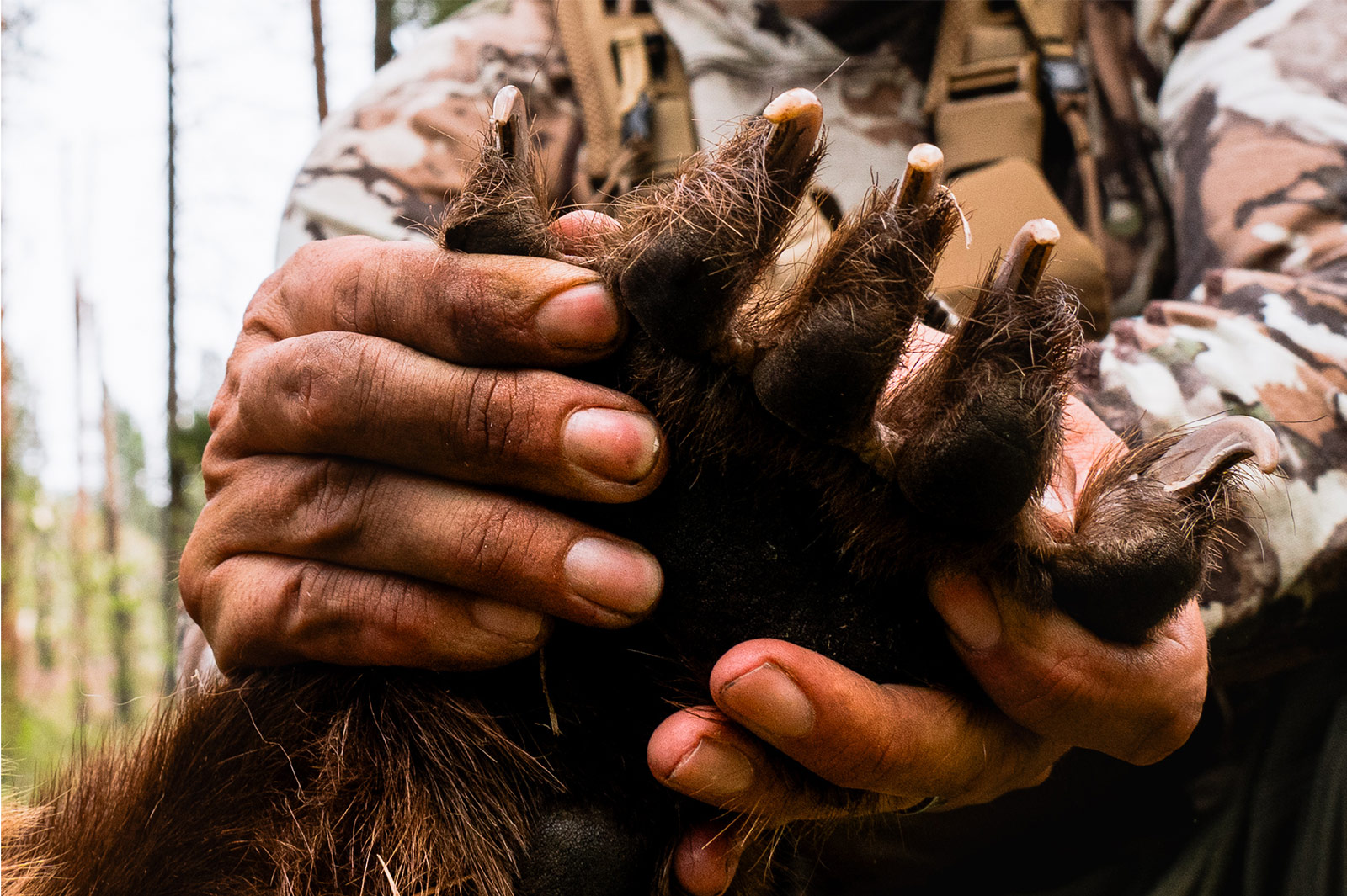 Man holding bear paw with claws while hunting.