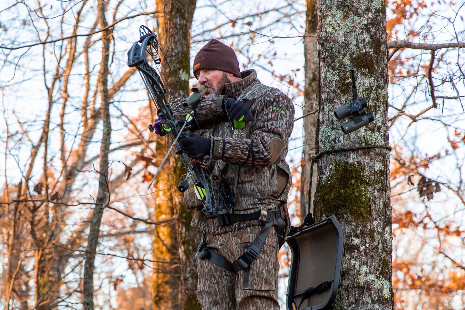 a hunter in a treestand with a bow calling deer 