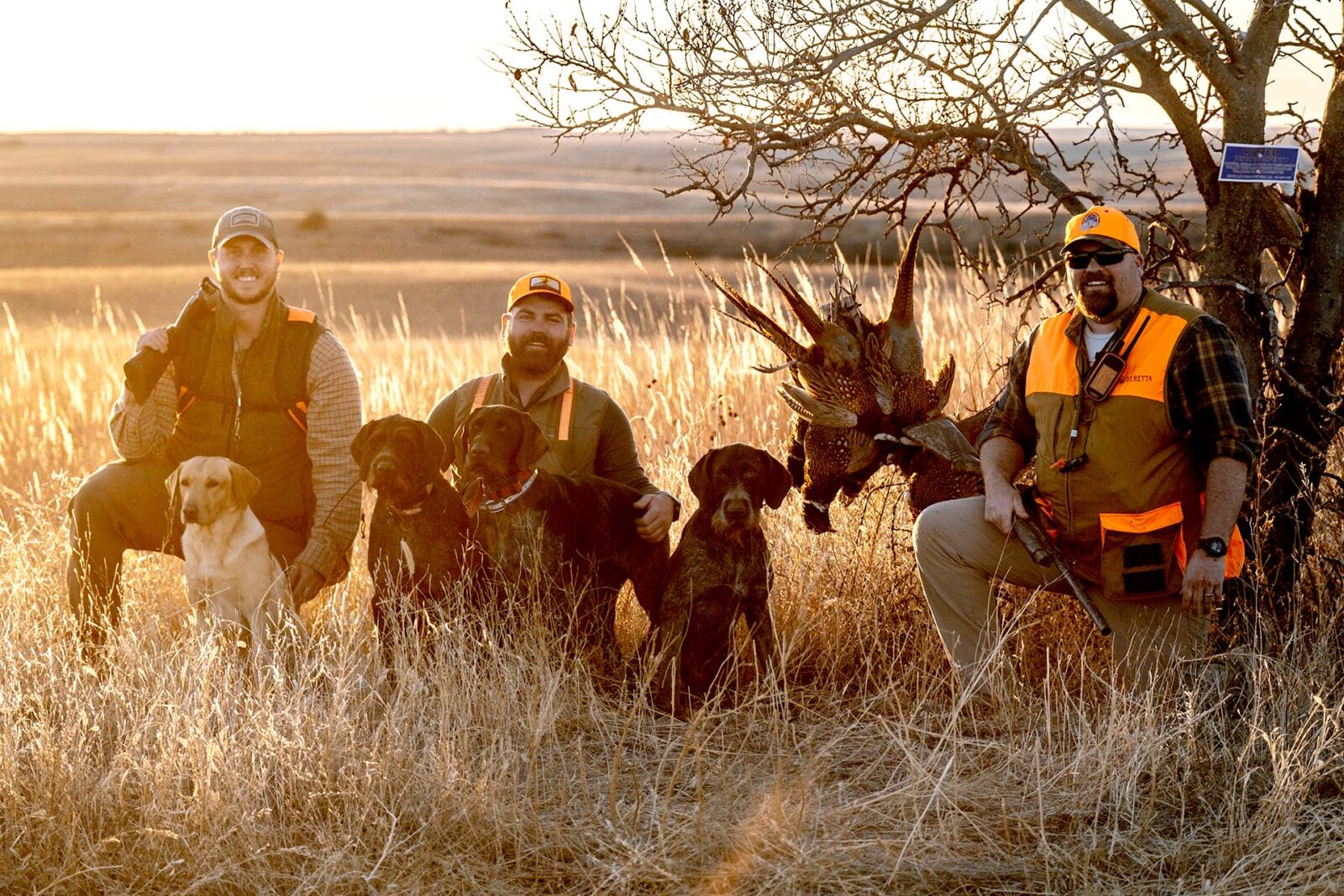 3 bird hunters and 4 dogs in a field 