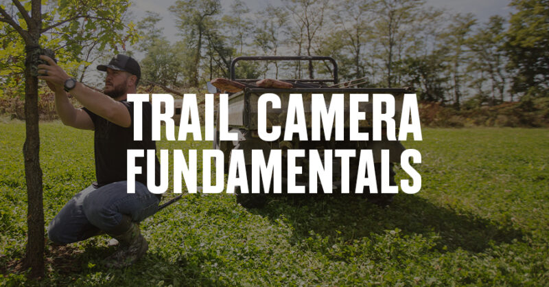 Ambassador Trail Cam Blog Featured Image