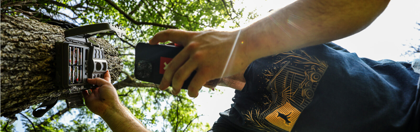 A hunter setting up a trail cam on a tree