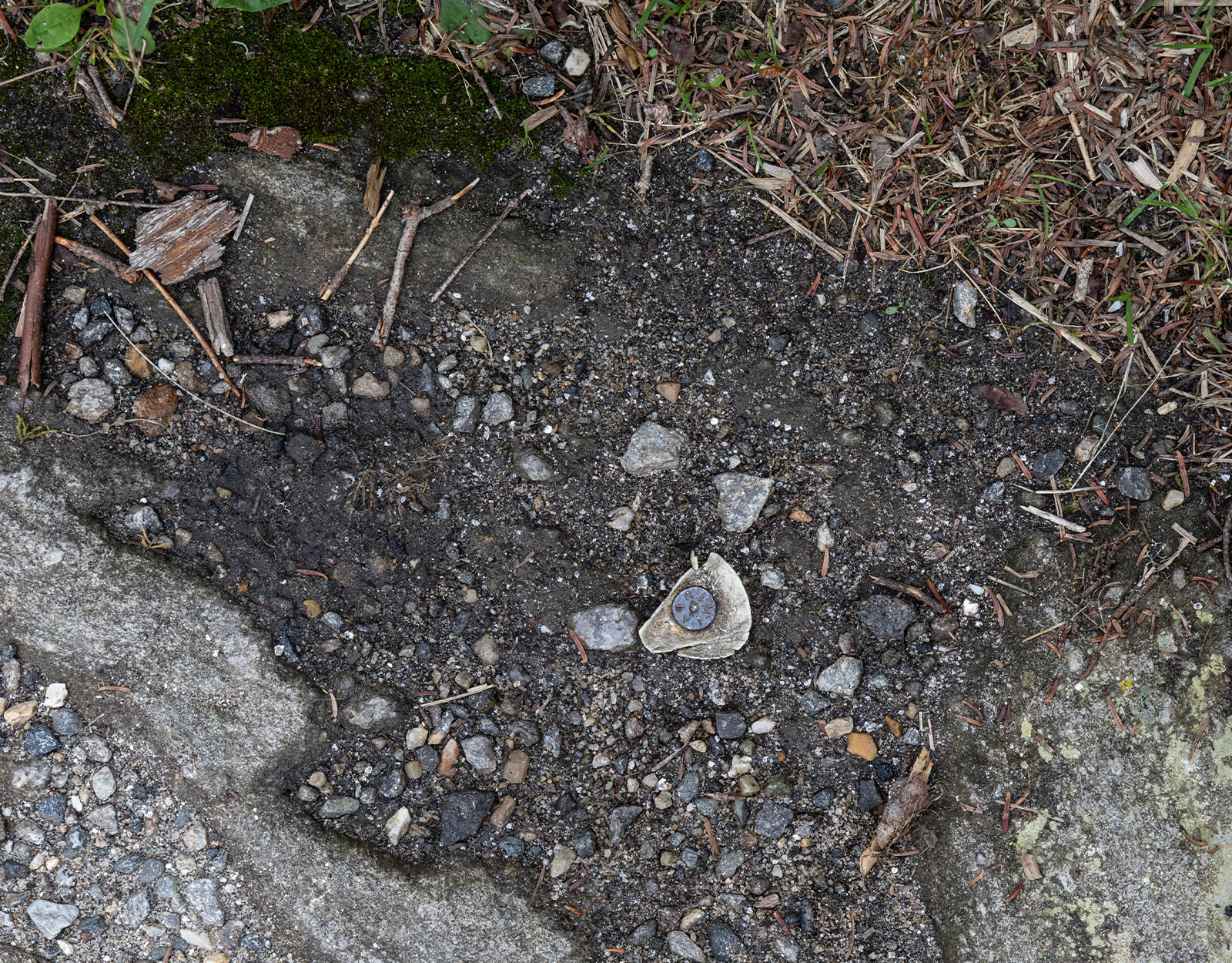 A survey pin in the ground marketing property lines.