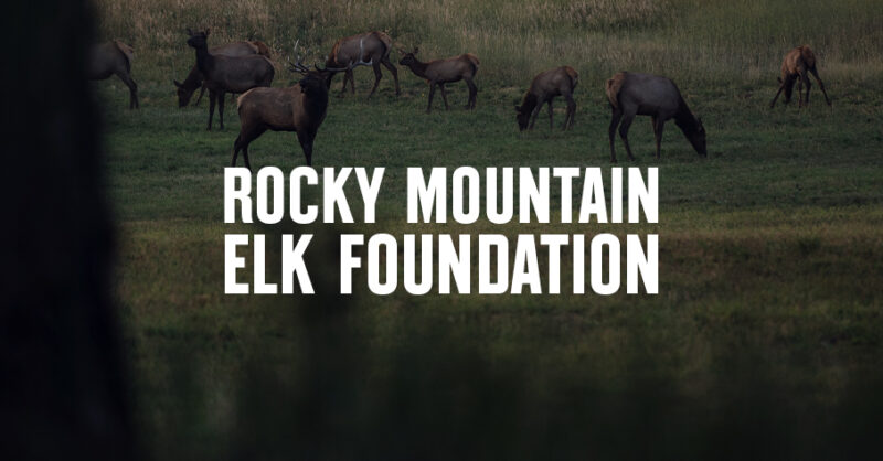 Hunt Partner Spotlight RMEF Feature