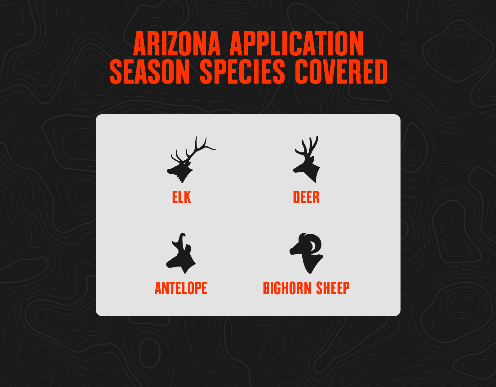 Arizona Application Season Species