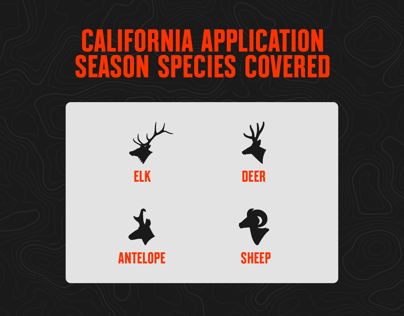California application season species, including elk, deer, antelope, and sheep. 