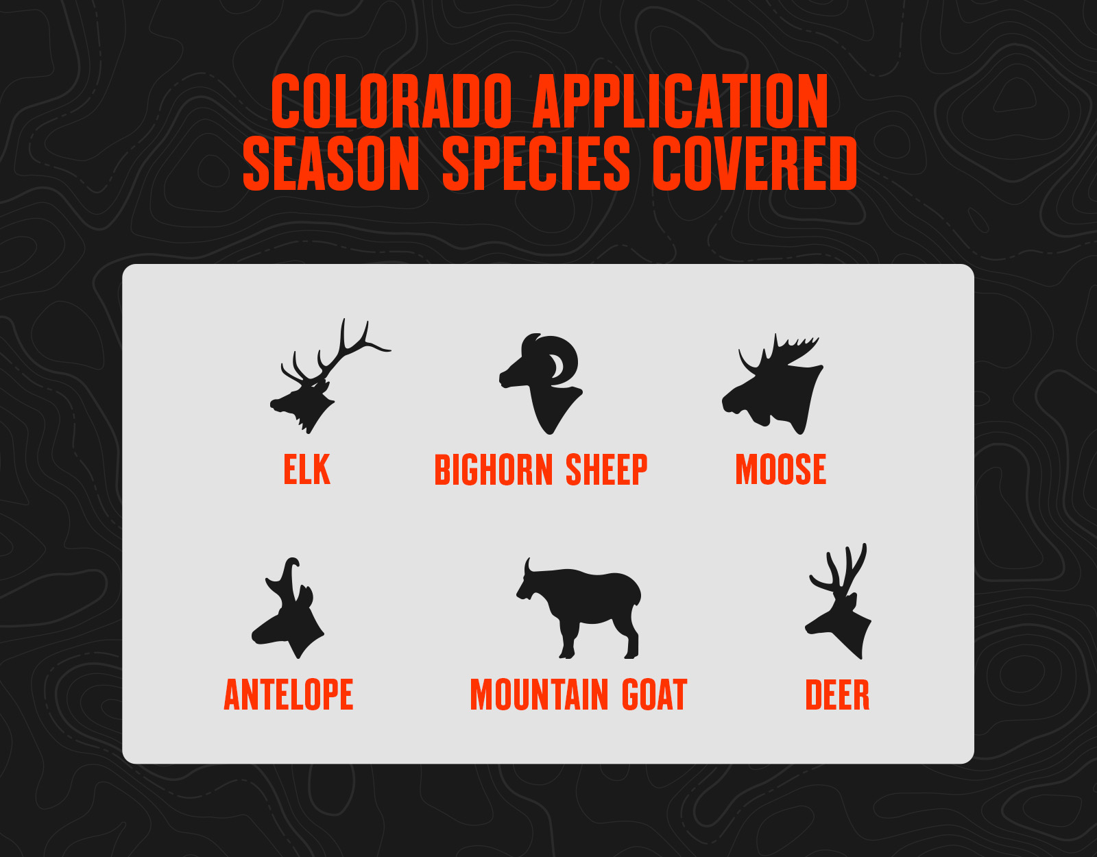 Colorado Species 