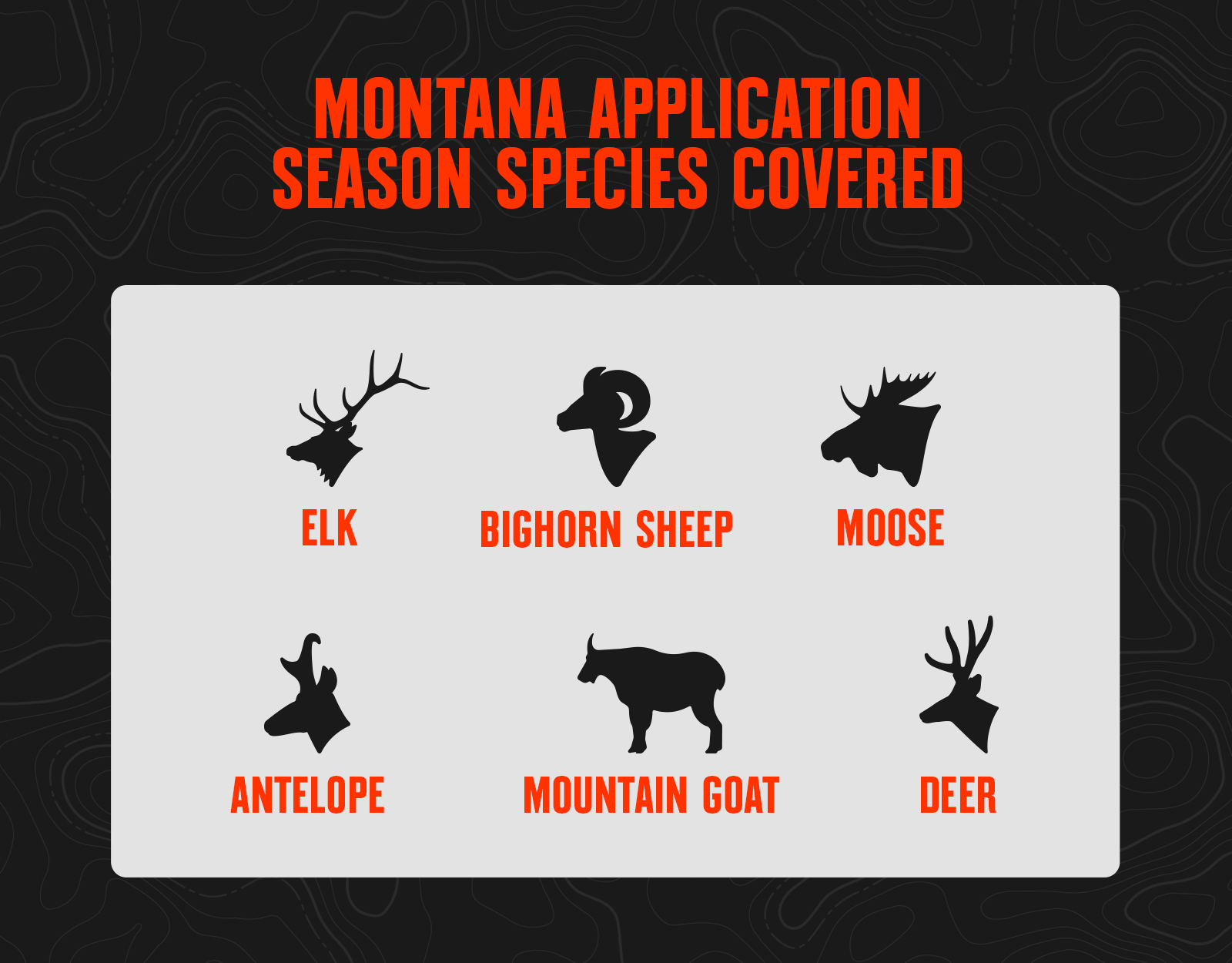 Infographic showing Montana application season species. 