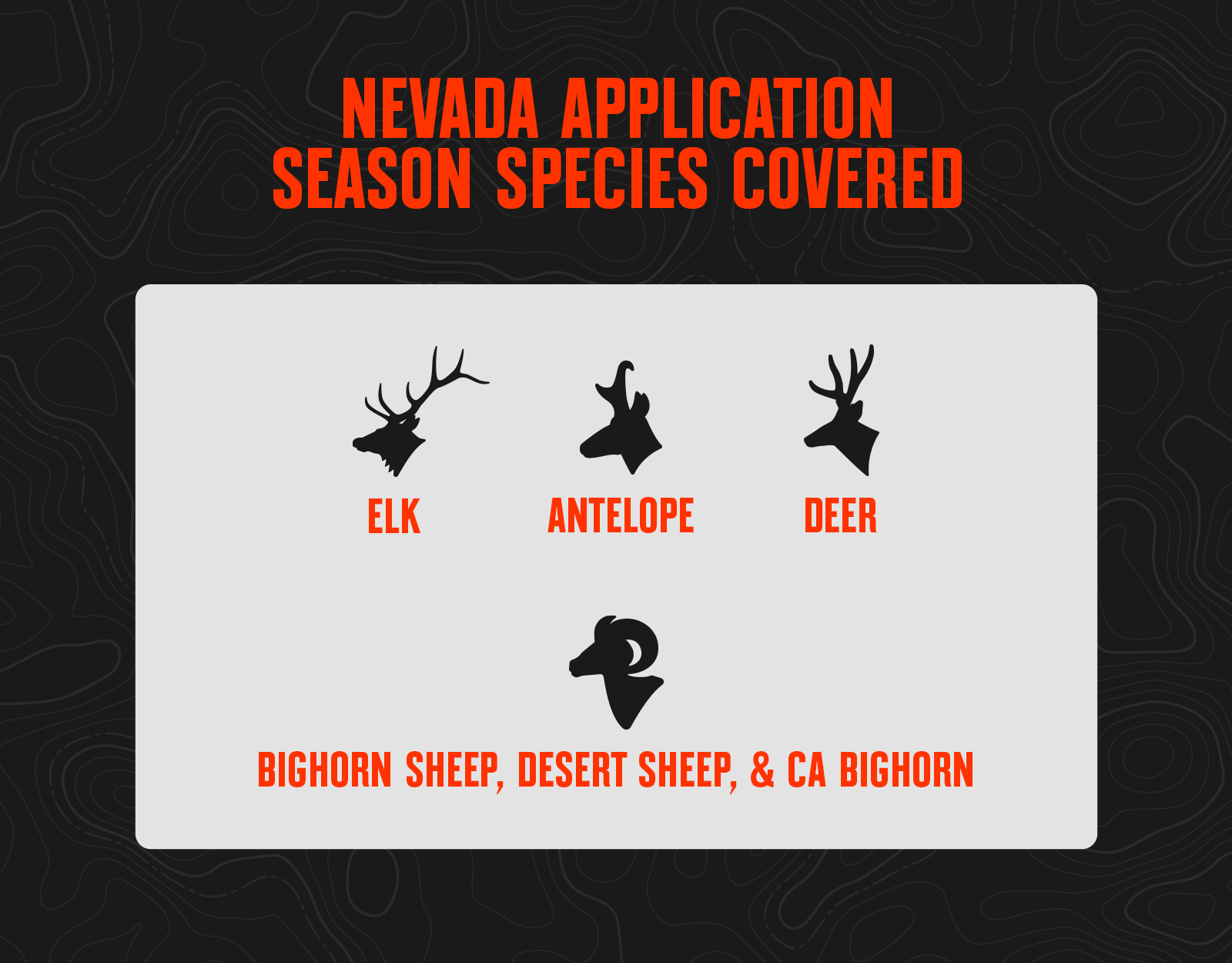 Nevada hunting application season species.