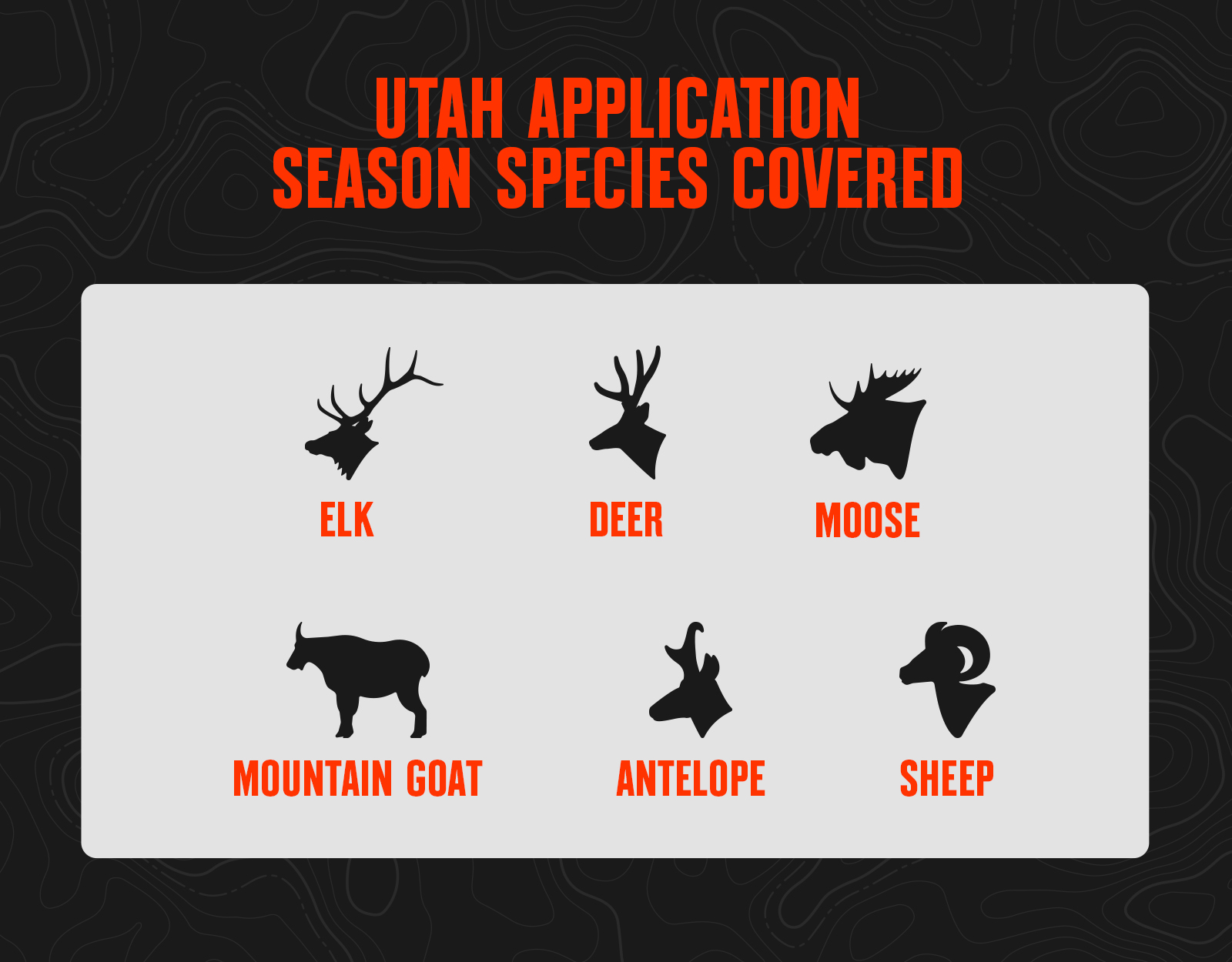 Utah application season species 