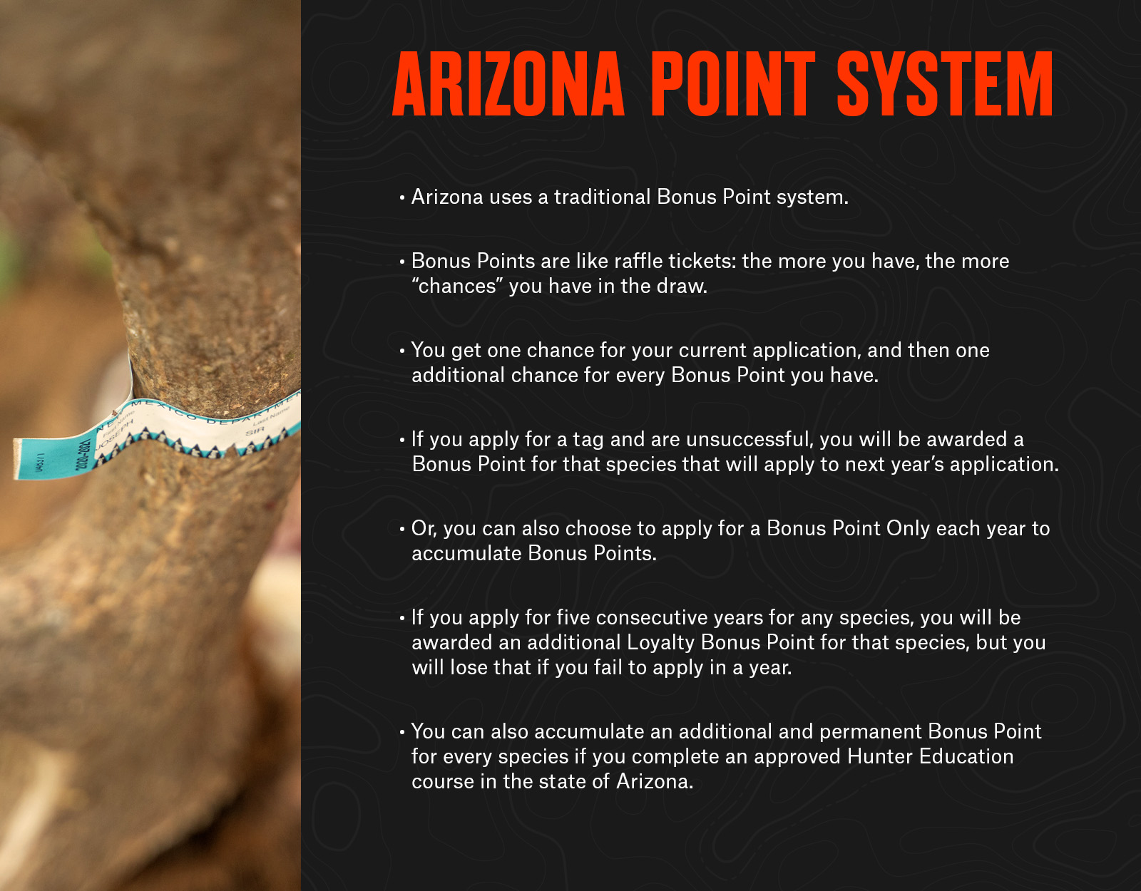 Infographic detailing Arizona point system information. 