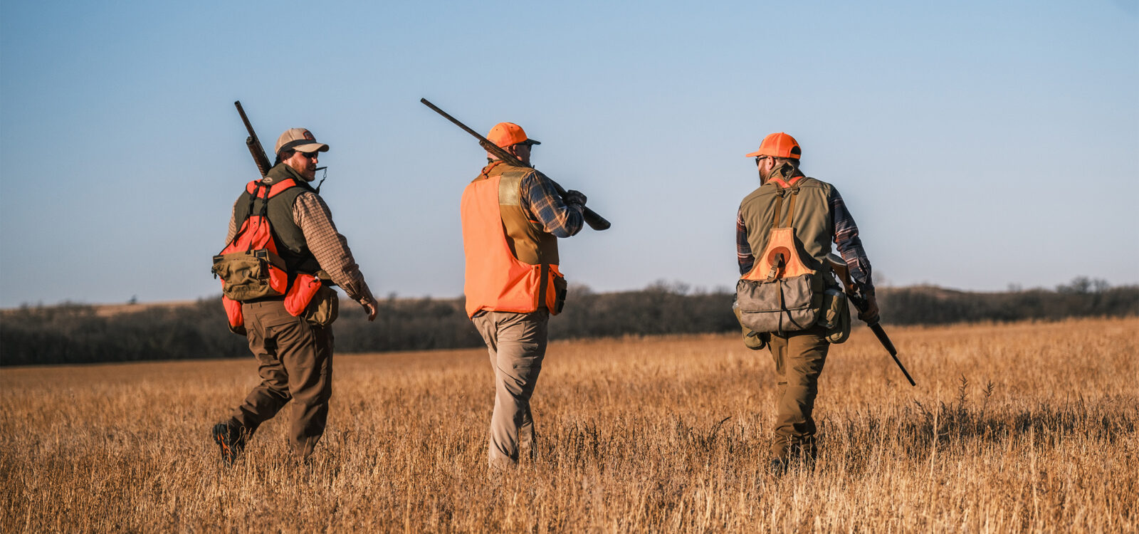 three hunters in hunters orange hunting pheasants in a field