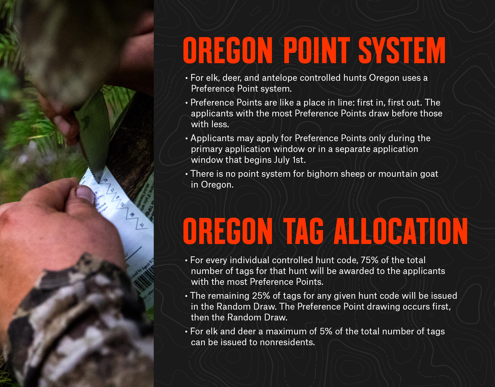 Infographic showing information on Oregon's point system and tag allocation. 