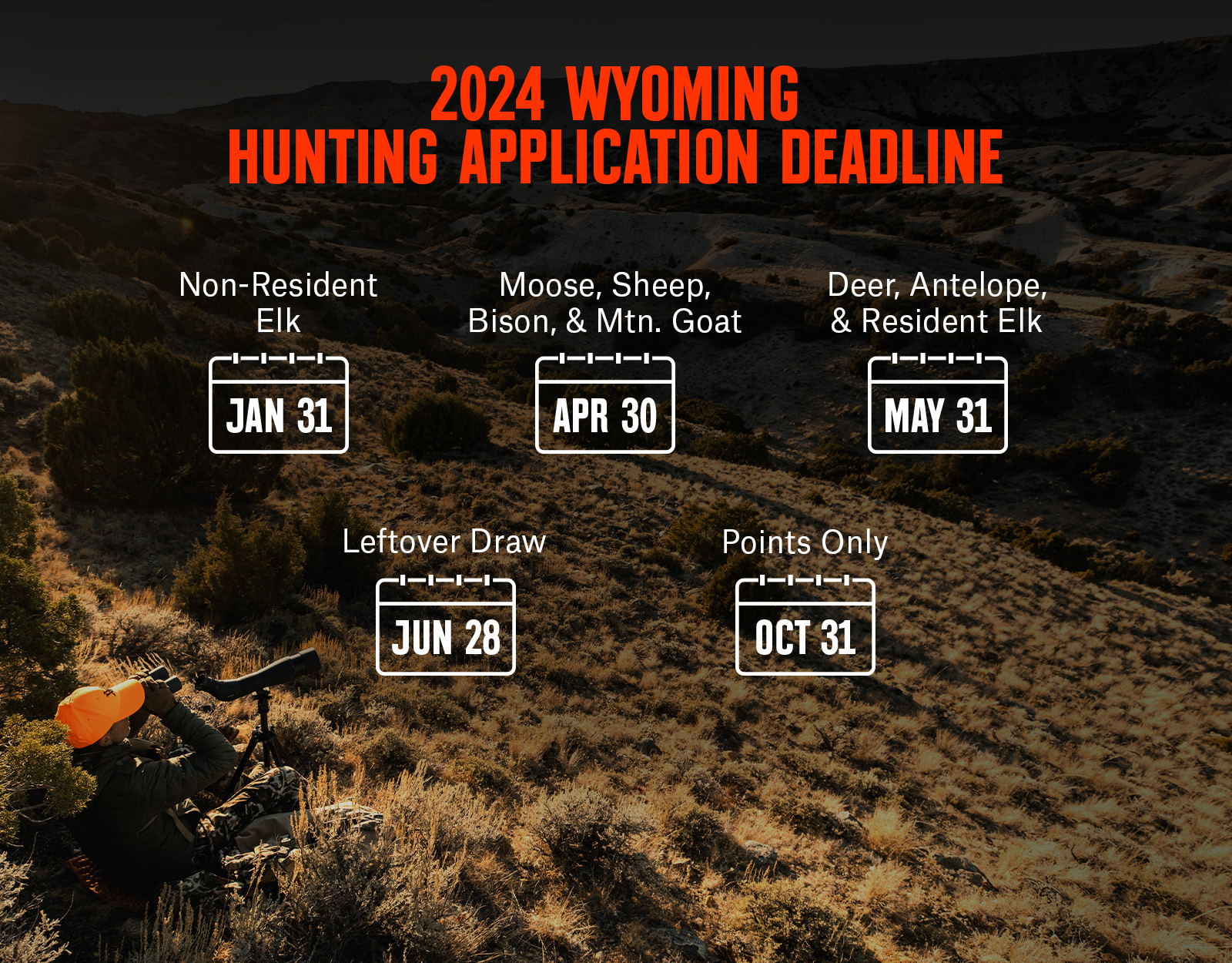 Infographic showing 2024 Wyoming hunting application deadlines by species. 