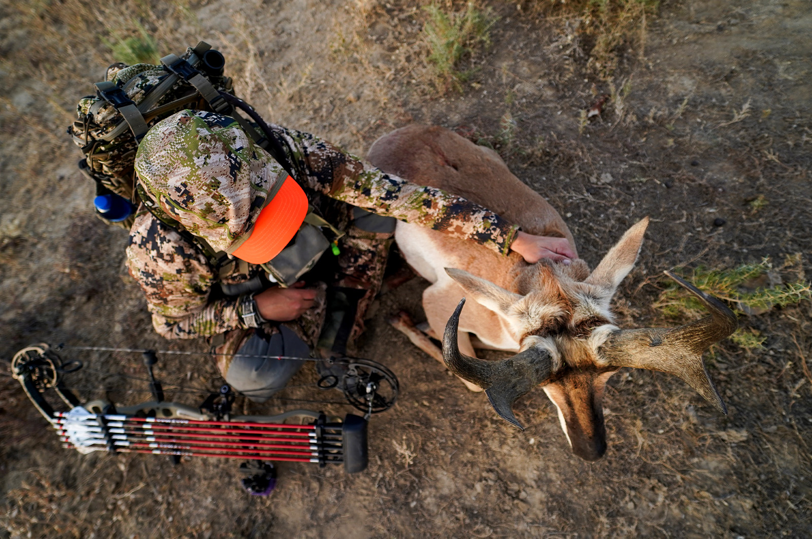 An archery hunter with an antelope they harvested 