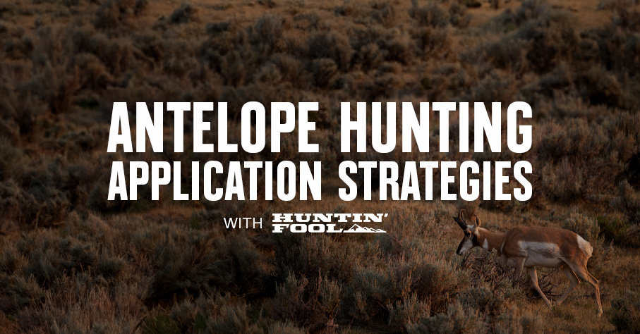 Antelope Application Strategies With Huntin’ Fool
