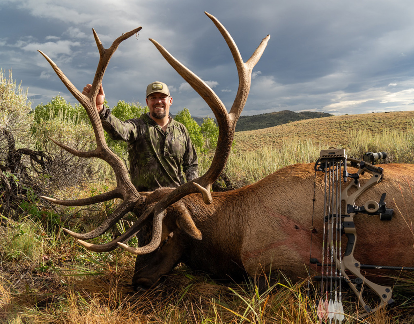 Large bull elk downed by an archery hunter 