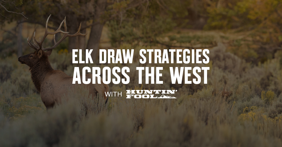elk draw strategies across the west