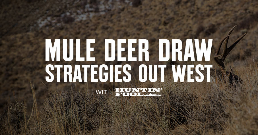 mule deer draw strategies with Huntin' Fool