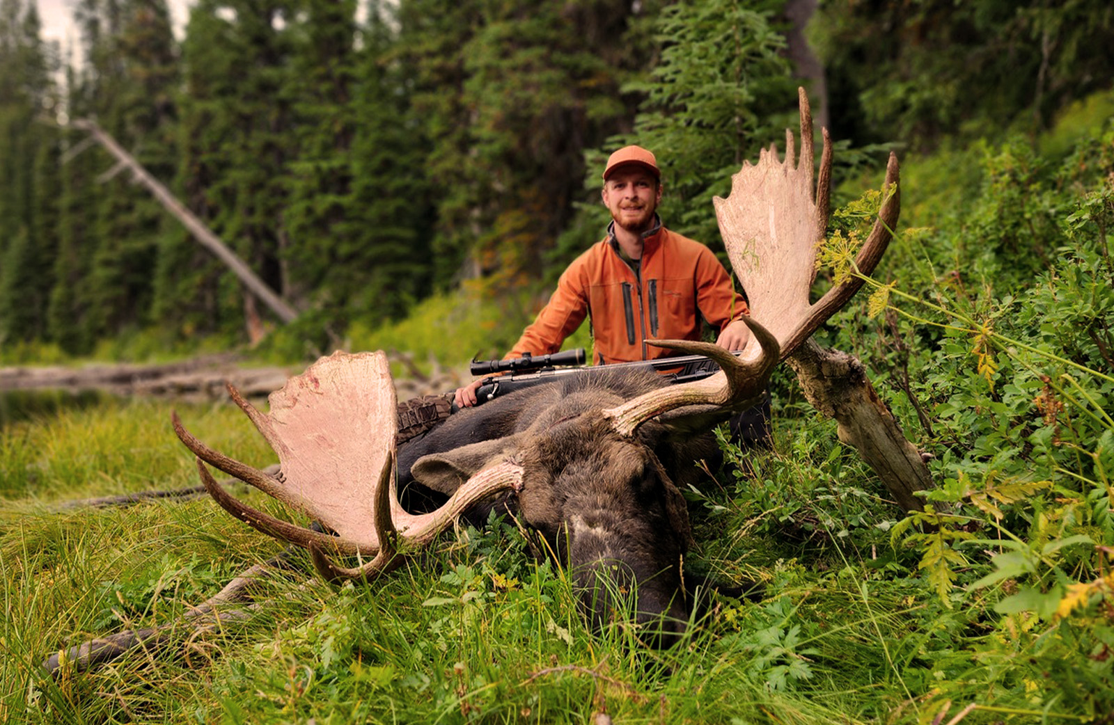 A hunter poses with the bull moose he harvested with a rifle. 