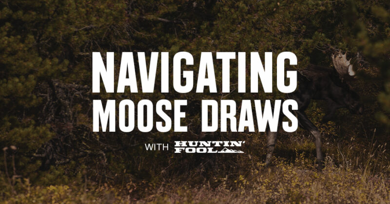 Navigating moose draws in white text.